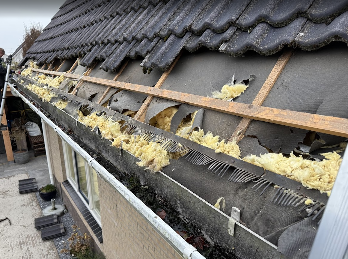 Isolatie schade door steenmarter woonhuis