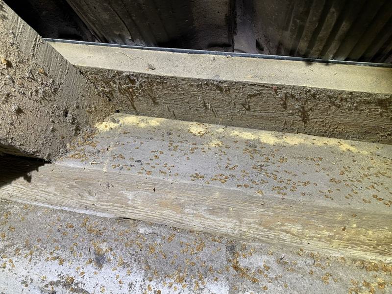 Boormeel op een balk en op het hout eronder