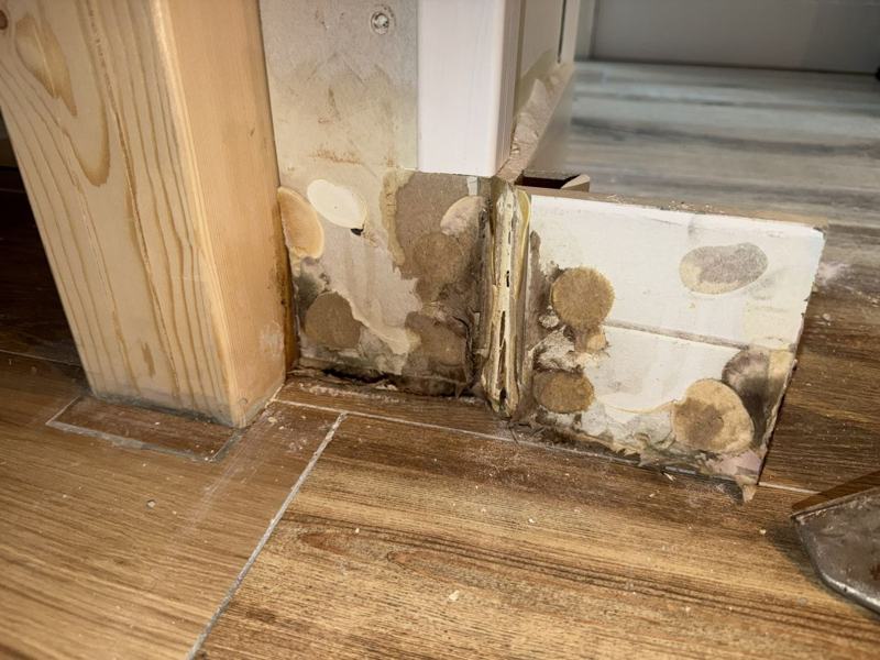 Zwamvlekken op een plint en wand bij de vloer