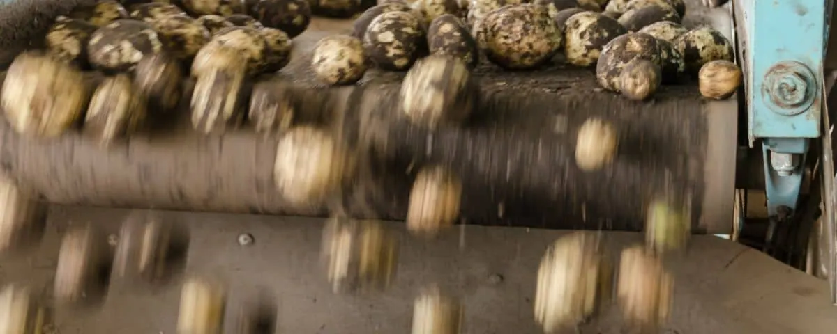 Het gebruik van bestrijdingsmiddelen: Hoe zit dat?