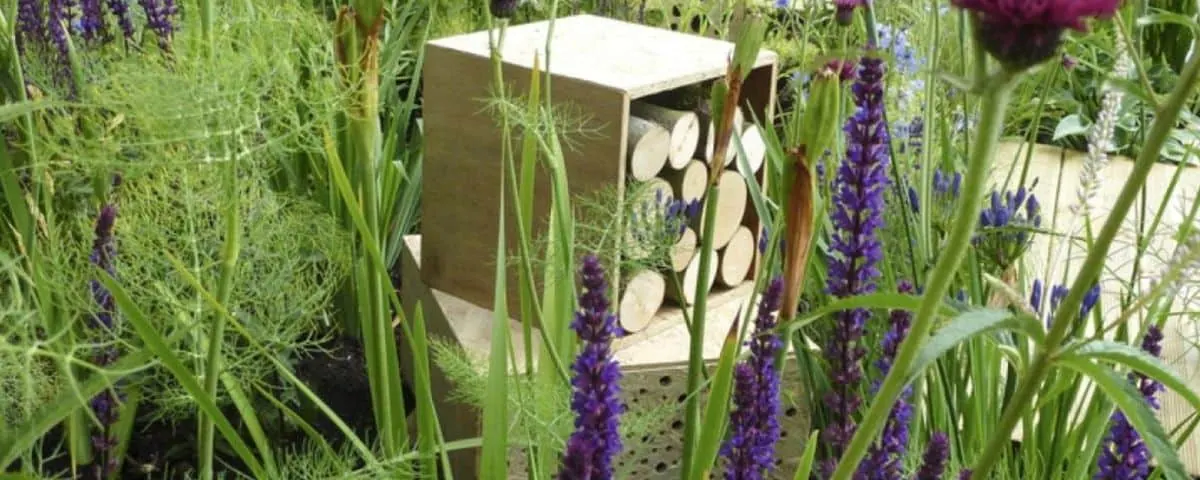 Hoe maak je je tuin bijenvriendelijk?