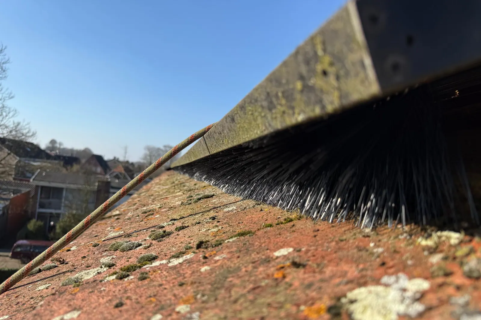 Kauwen onder zonnepanelen voorkomen: effectieve wering en tips