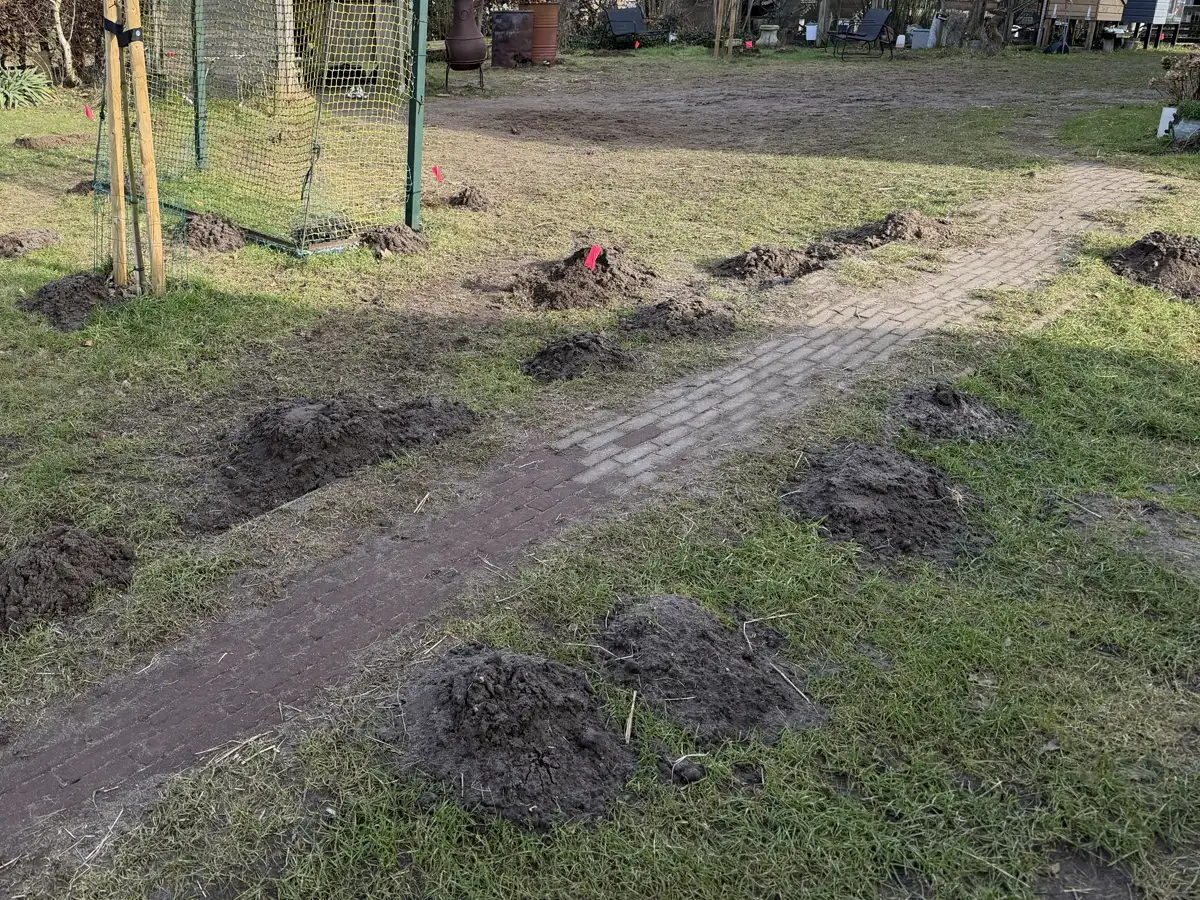Zelf mollen bestrijden met klemmen: actieve gang vinden en afwegen