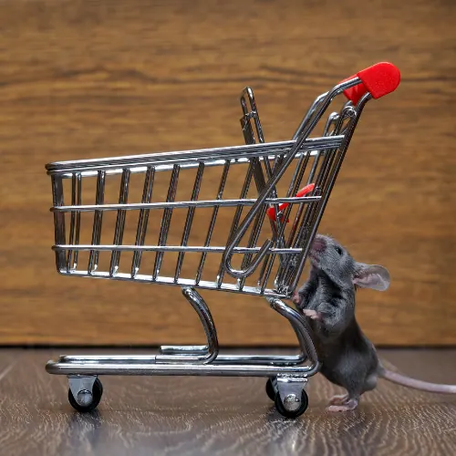 Muis in supermarkt