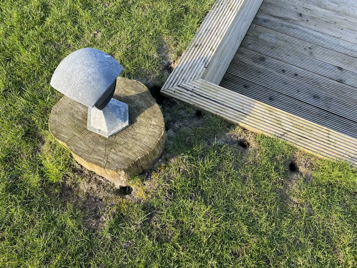Veldmuizen in gazon, tuin of schuur: herkennen en beperken