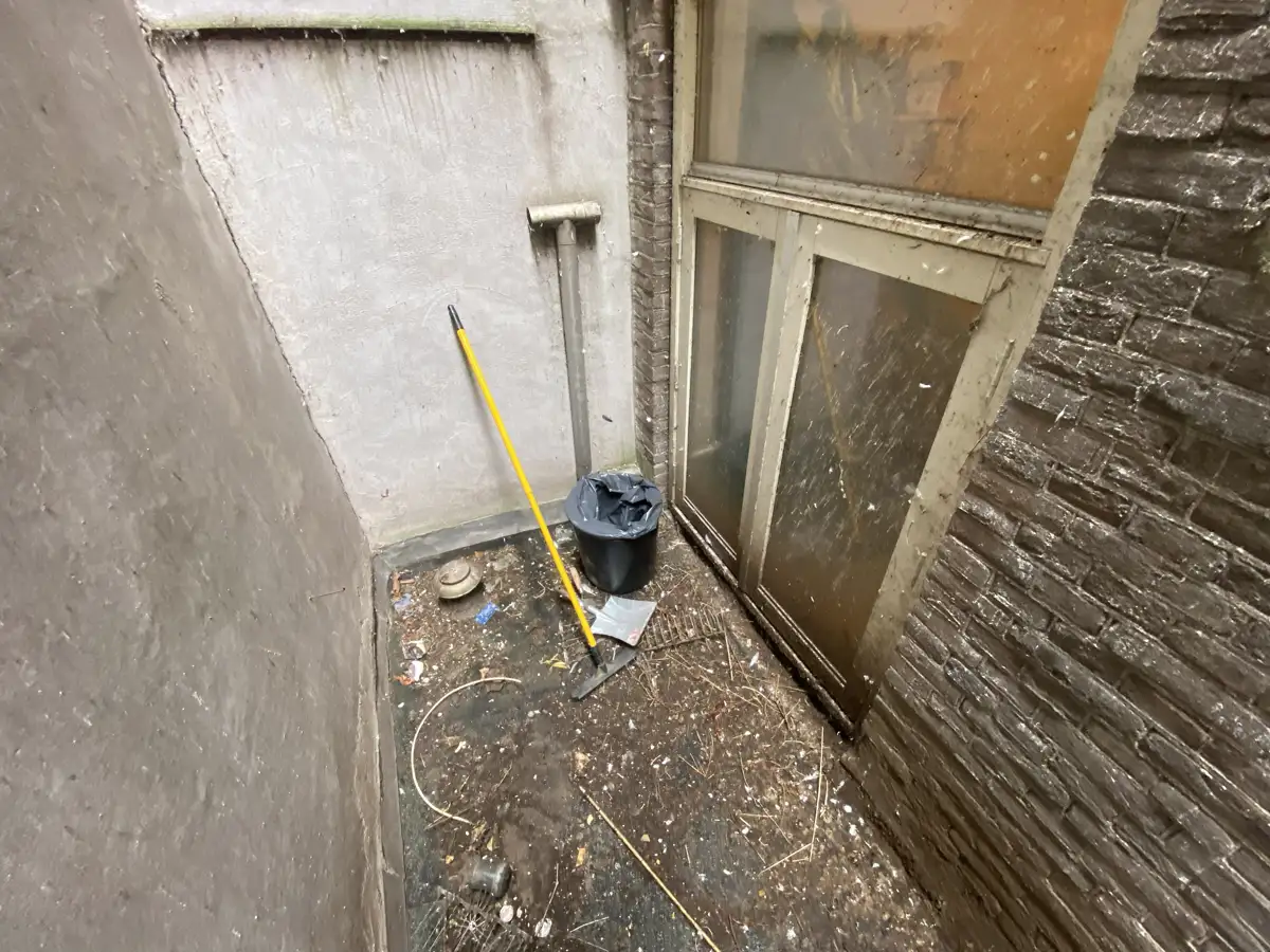 Vogelpoep op het balkon: schoonmaken en schoon houden