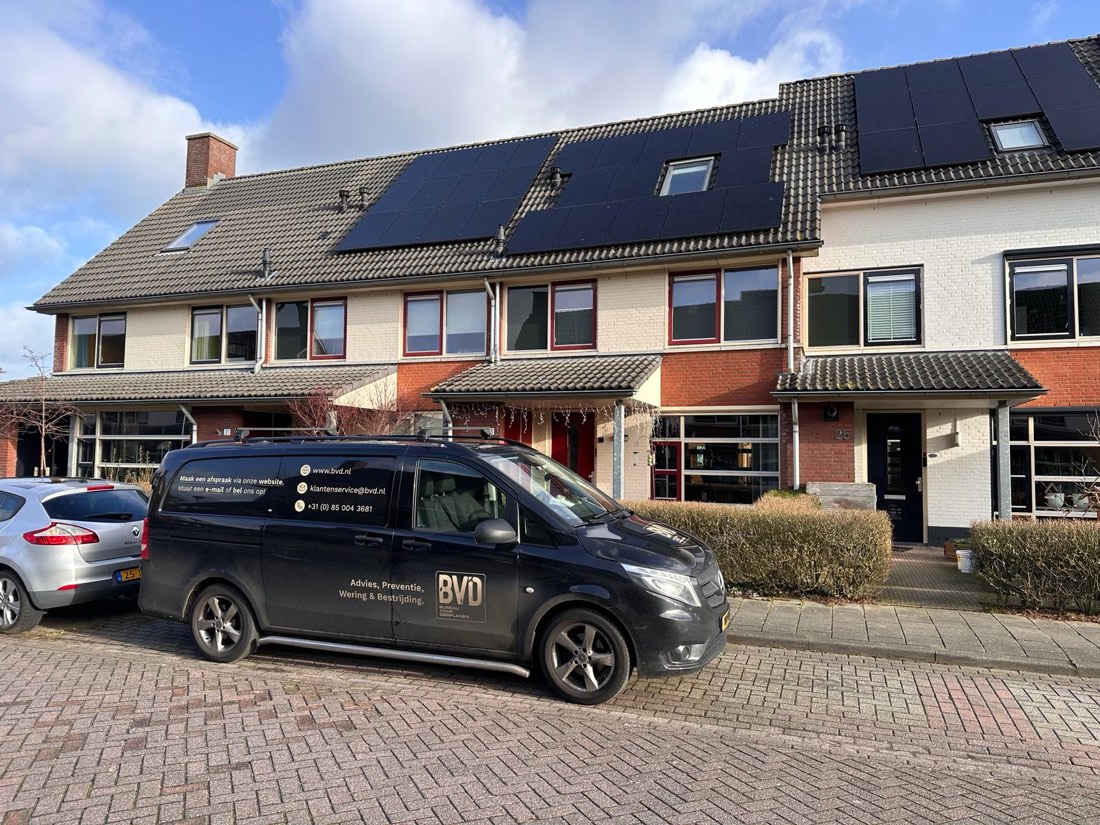 Vogels onder zonnepanelen: signalen en veilige vervolgstap