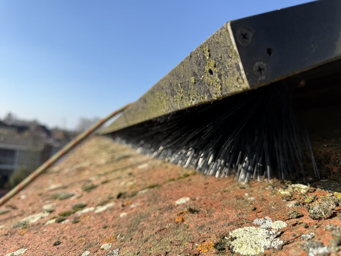 Vogelwering voor de dakgoot: aluminium, gaas of borstel?