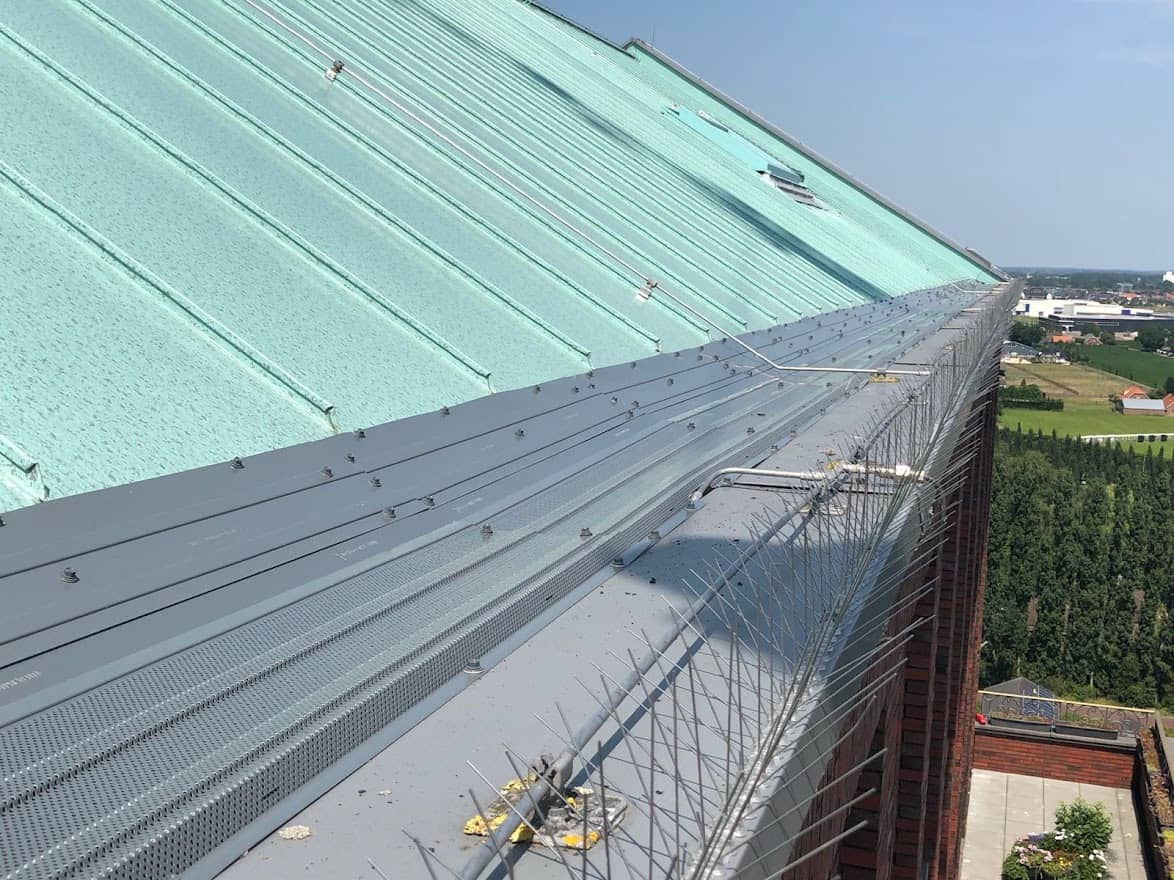 Een dakrand van een hoog gebouw met vogelweringssystemen en dakgootroosters ter preventie van vogelnesten.