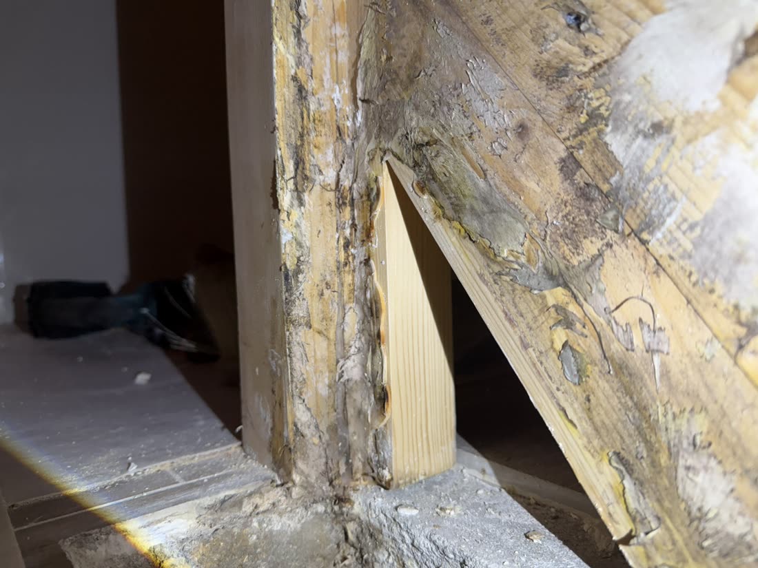 Huiszwam of gewone schimmel? Kijk naar materiaal en vocht